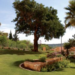 The beautiful grounds of the Estrela da Luz